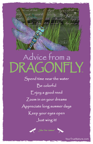 Advice from a Dragonfly Frameable Art Postcard