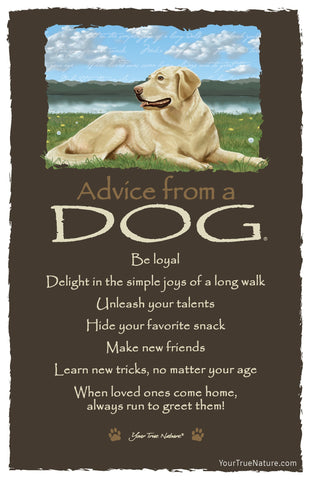 Advice from a Dog Frameable Art Postcard