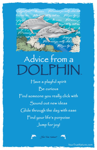 Advice from a Dolphin Frameable Art Postcard