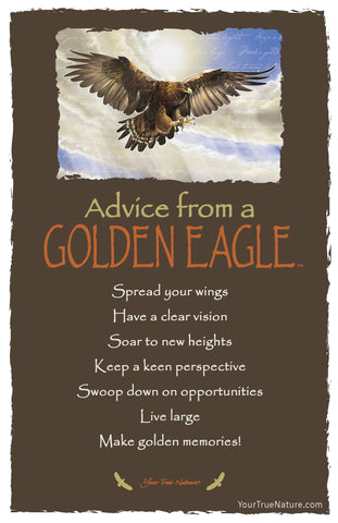 Advice from a Golden Eagle Frameable Art Postcard