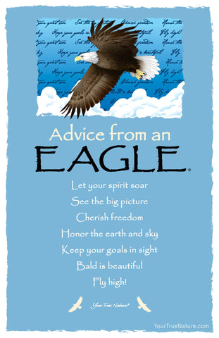 Advice from an Eagle Frameable Art Postcard