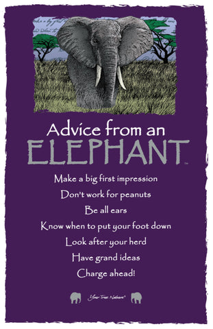 Advice from an Elephant Frameable Art Postcard