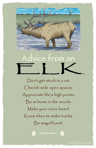 Advice from an Elk Frameable Art Postcard