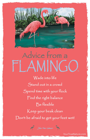 Advice from a Flamingo Frameable Art Postcard