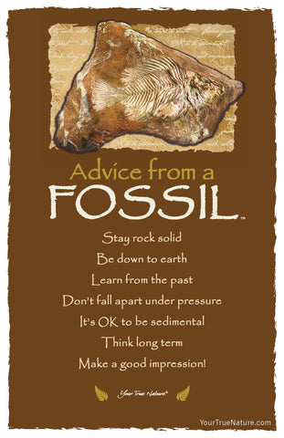 Advice from a Fossil Frameable Art Postcard
