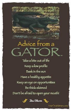 Advice from a Gator - Frameable Art Postcard