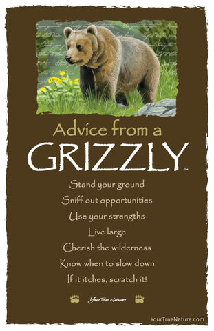 Advice from a Grizzly Frameable Art Postcard