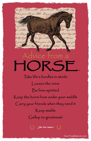 Advice from a Horse Frameable Art Postcard