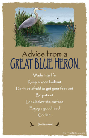 Advice from a Great Blue Heron Frameable Art Postcard