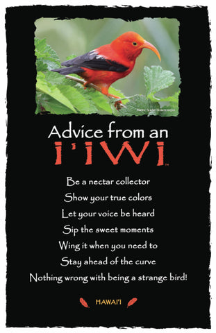 Advice from an I'iwi- Hawai'i- Frameable Art Postcard