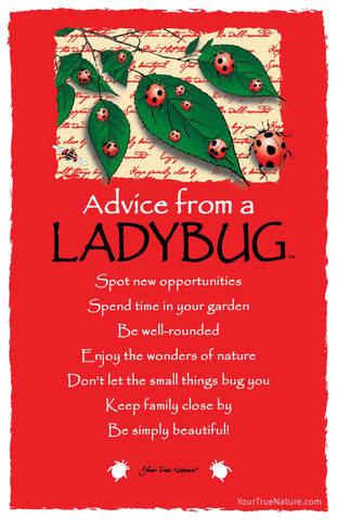 Advice from a Ladybug Frameable Art Postcard