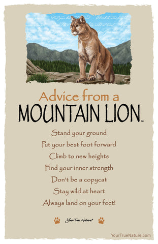 Advice from a Mountain Lion Frameable Art Postcard