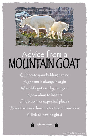 Advice from a Mountain Goat Frameable Art Postcard