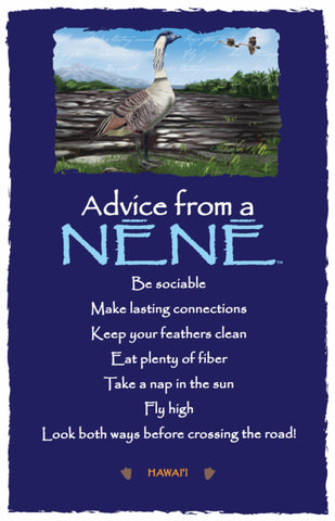 Advice from a Nēnē- Hawai'i- Frameable Art Postcard