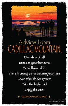 Advice from Cadillac Mountain Frameable Art Postcard