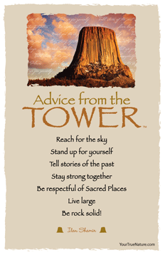 Advice from the Tower - Devils Tower - Frameable Art Postcard