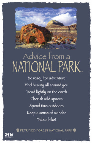 Advice from a National Park- Petrified Forest National Park- Frameable Art Postcard