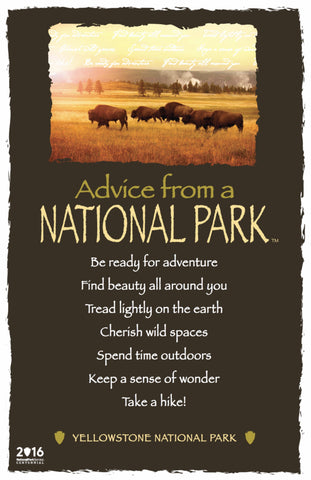 Advice from a National Park- Yellowstone National Park- Frameable Art Postcard
