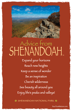 Advice from Shenandoah Frameable Art Postcard