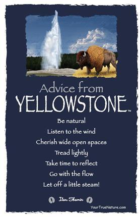 Advice from Yellowstone - Yellowstone National Park - Frameable Art Postcard