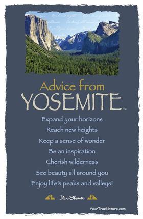 Advice from Yosemite - Yosemite National Park - Frameable Art Postcard