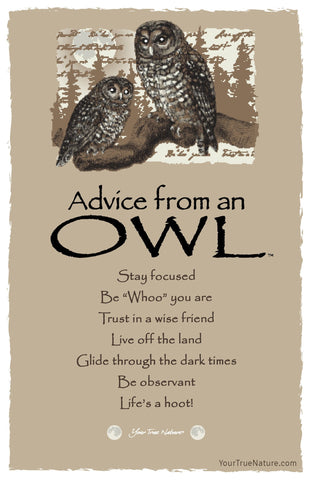 Advice from an Owl Frameable Art Postcard