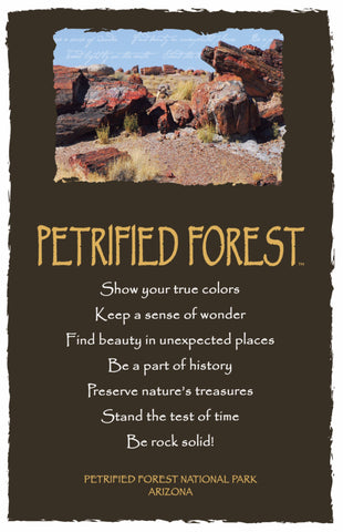 Advice from a Petrified Forest- Petrified Forest National Park