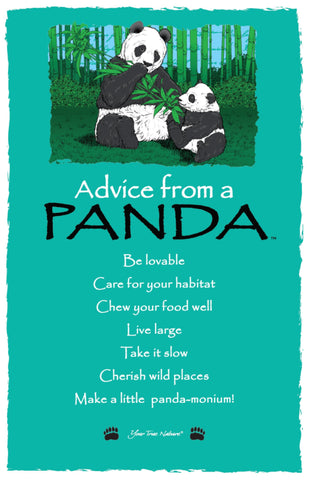 Advice from a Panda Frameable Art Postcard