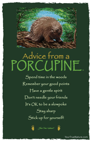 Advice from a Porcupine Frameable Art Postcard