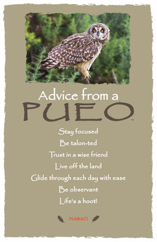 Advice from a Pueo- Hawai'i- Frameable Art Postcard