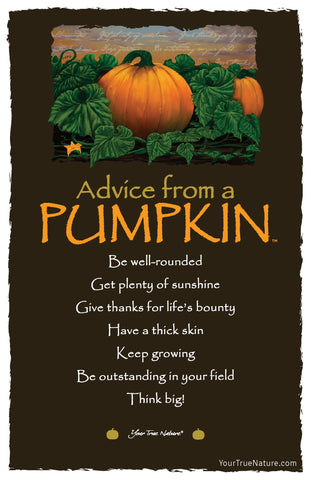 Advice from a Pumpkin Frameable Art Postcard