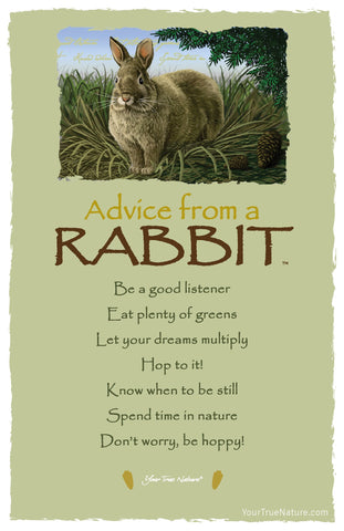 Advice from a Rabbit Frameable Art Postcard