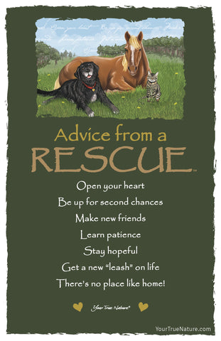 Advice from a Rescue Frameable Art Postcard