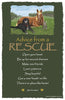 Advice from a Rescue Frameable Art Postcard