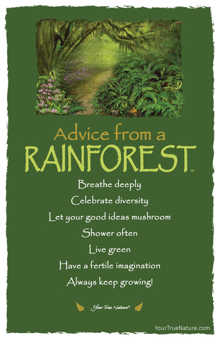 Advice from a Rainforest Frameable Art Postcard
