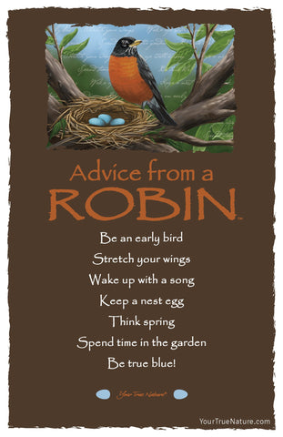 Advice from a Robin Frameable Art Postcard