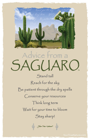 Advice from a Saguaro Frameable Art Postcard