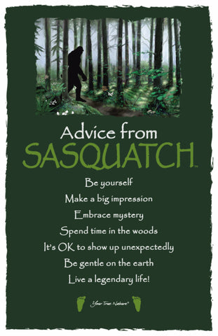 Advice from Sasquatch Frameable Art Postcard