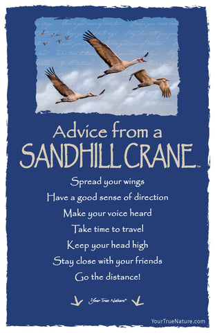 Advice from a Sandhill Crane Frameable Art Postcard