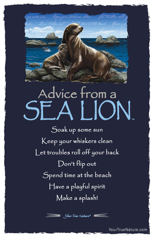 Advice from a Sea Lion Frameable Art Postcard