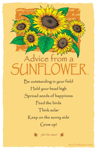 Advice from a Sunflower Frameable Art Postcard