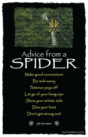 Advice from a Spider Frameable Art Postcard