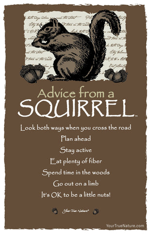 Advice from a Squirrel Frameable Art Postcard