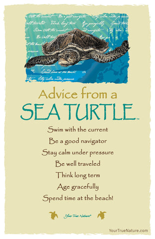 Advice from a Sea Turtle Frameable Art Postcard