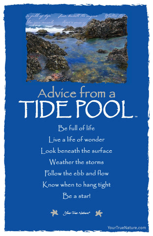 Advice from a Tide Pool Frameable Art Postcard