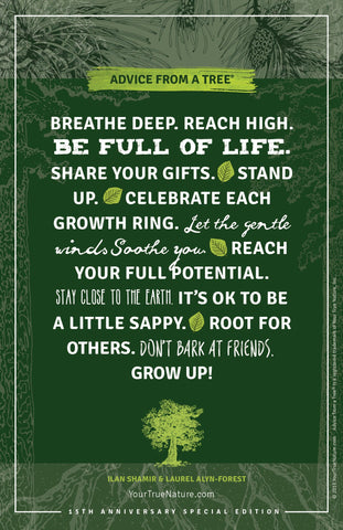 Advice from a Tree - 15th Anniversary Frameable Art Postcard