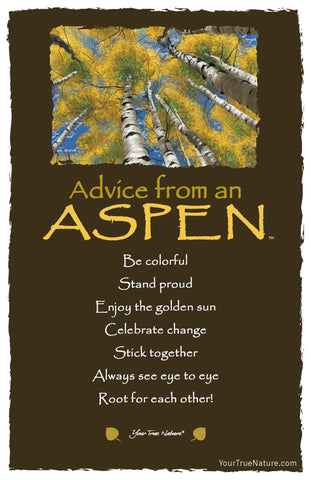 Advice from an Aspen Frameable Art Postcard