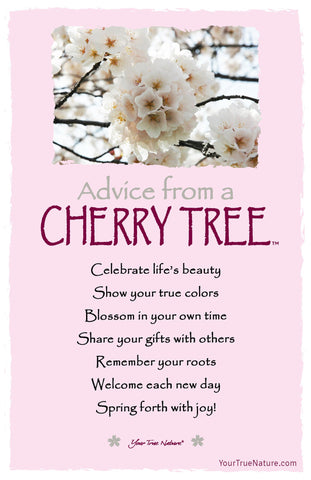 Advice from a Cherry Tree Frameable Art Postcard