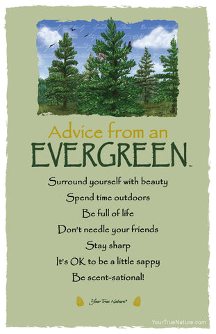 Advice from an Evergreen Frameable Art Postcard