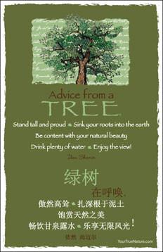 Advice from a Tree - Translated in Chinese - Frameable Art Postcard